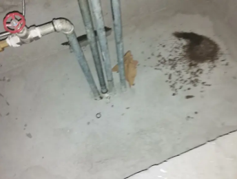 交城卫生间测漏水价格明细