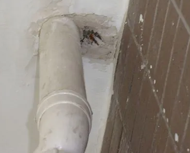 交城漏水检测哪家好